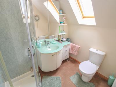 Picture 21
